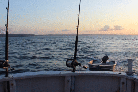 Fishing Rote