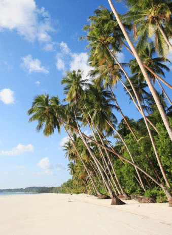 Maluku Kei island 2