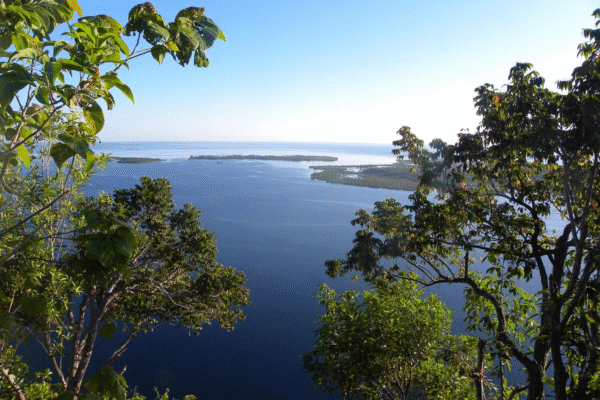 Maluku Seram Manusela National Park 1