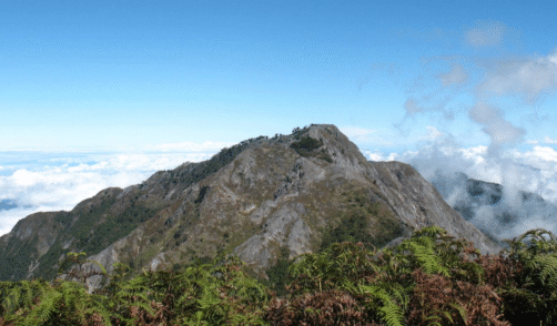 Maluku Seram Manusela National Park 3