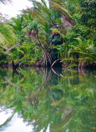Maluku Seram Manusela National Park