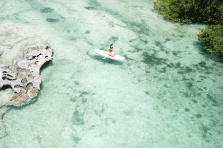 Paddle Rote