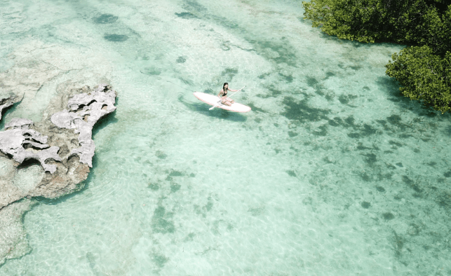 Paddle Rote