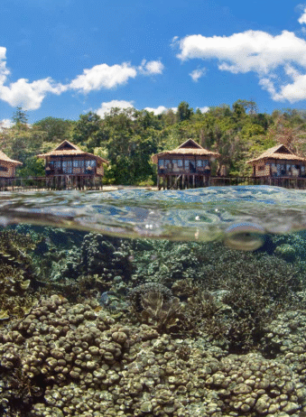 Papua Arefie Birie Island