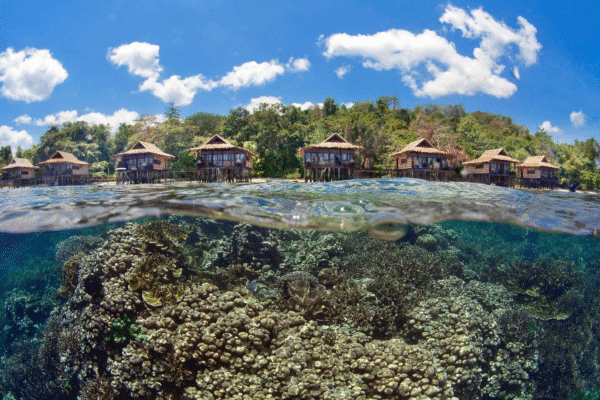 Papua Arefie Birie Island