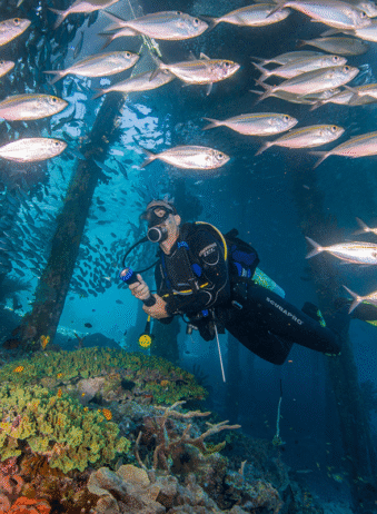 Papua Arefie Birie Island Diving
