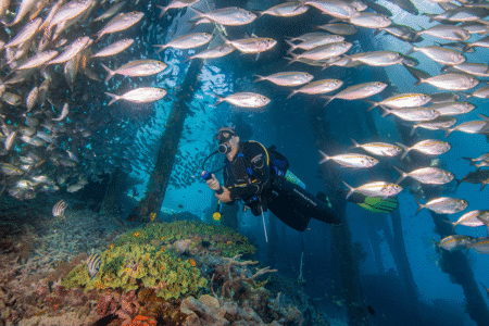 Papua Arefie Birie Island Diving