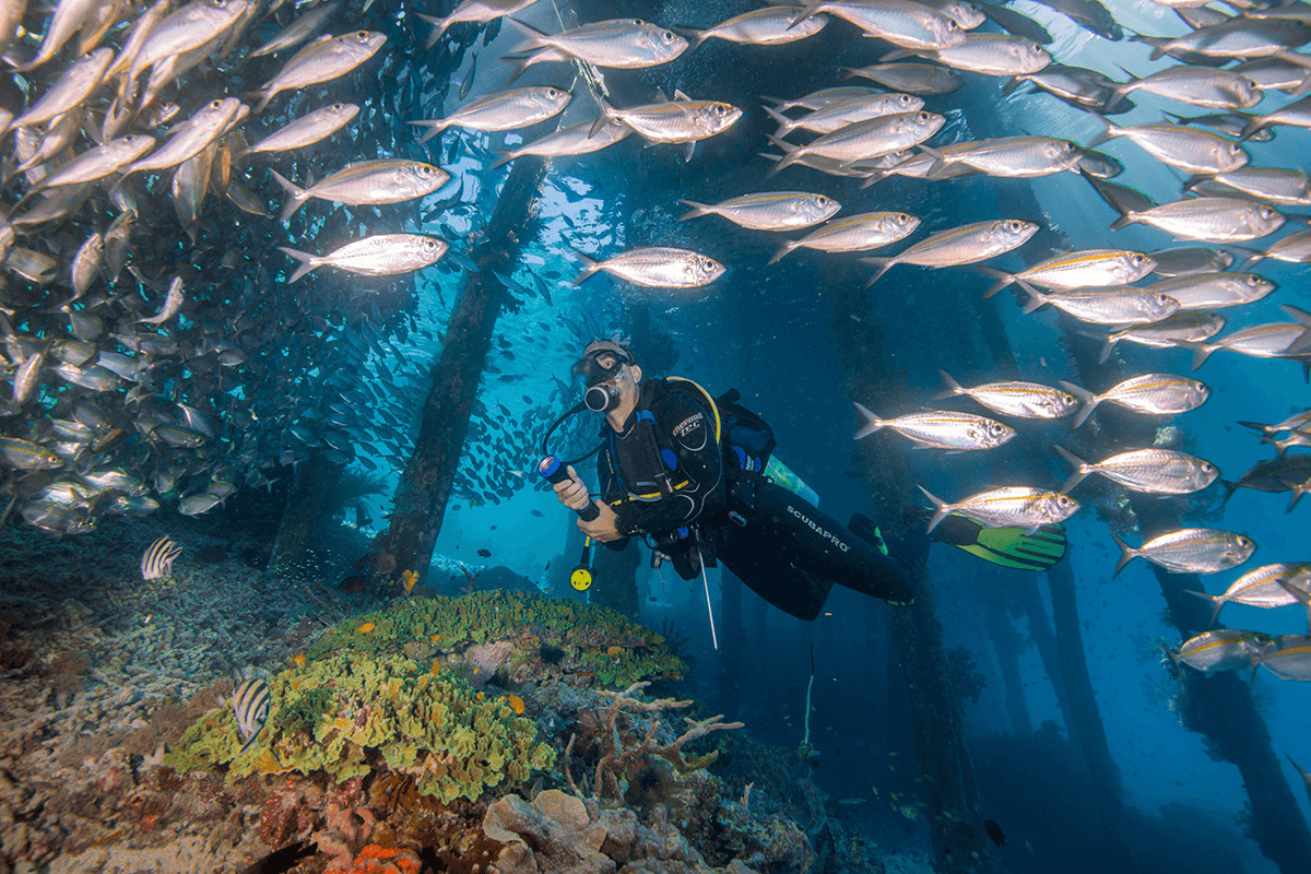 Papua Arefie Birie Island Diving