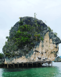 Papua Face stone