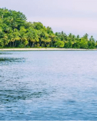 Papua Friwen Island