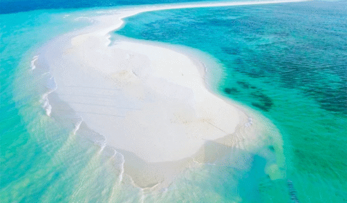 Papua Pasir Timbul Sandbank