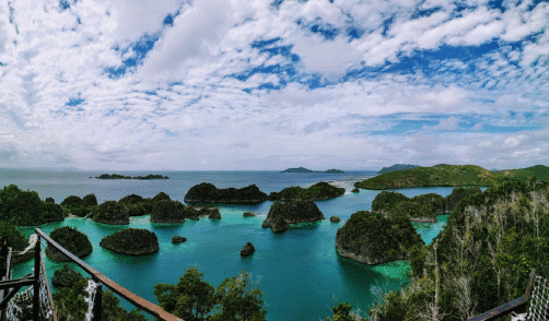 Papua Piaynemo