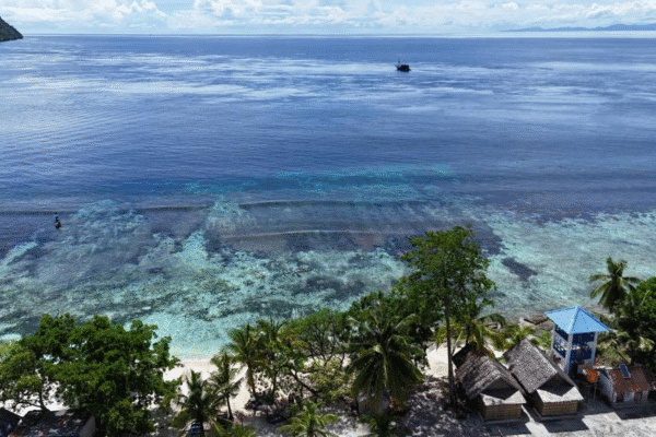 Papua Sauwandarek