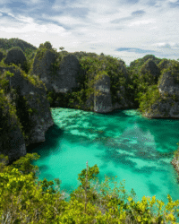 Papua Telaga Bintang