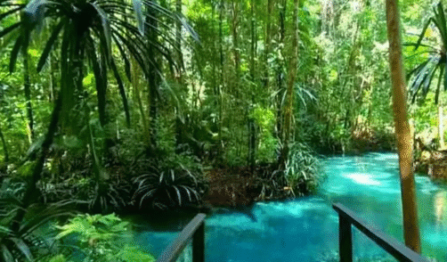 Papua Warsambin 1
