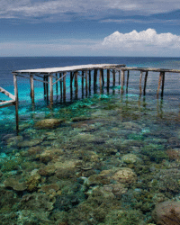 Papua Yenbuba