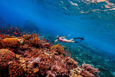 Snorkeling Rote