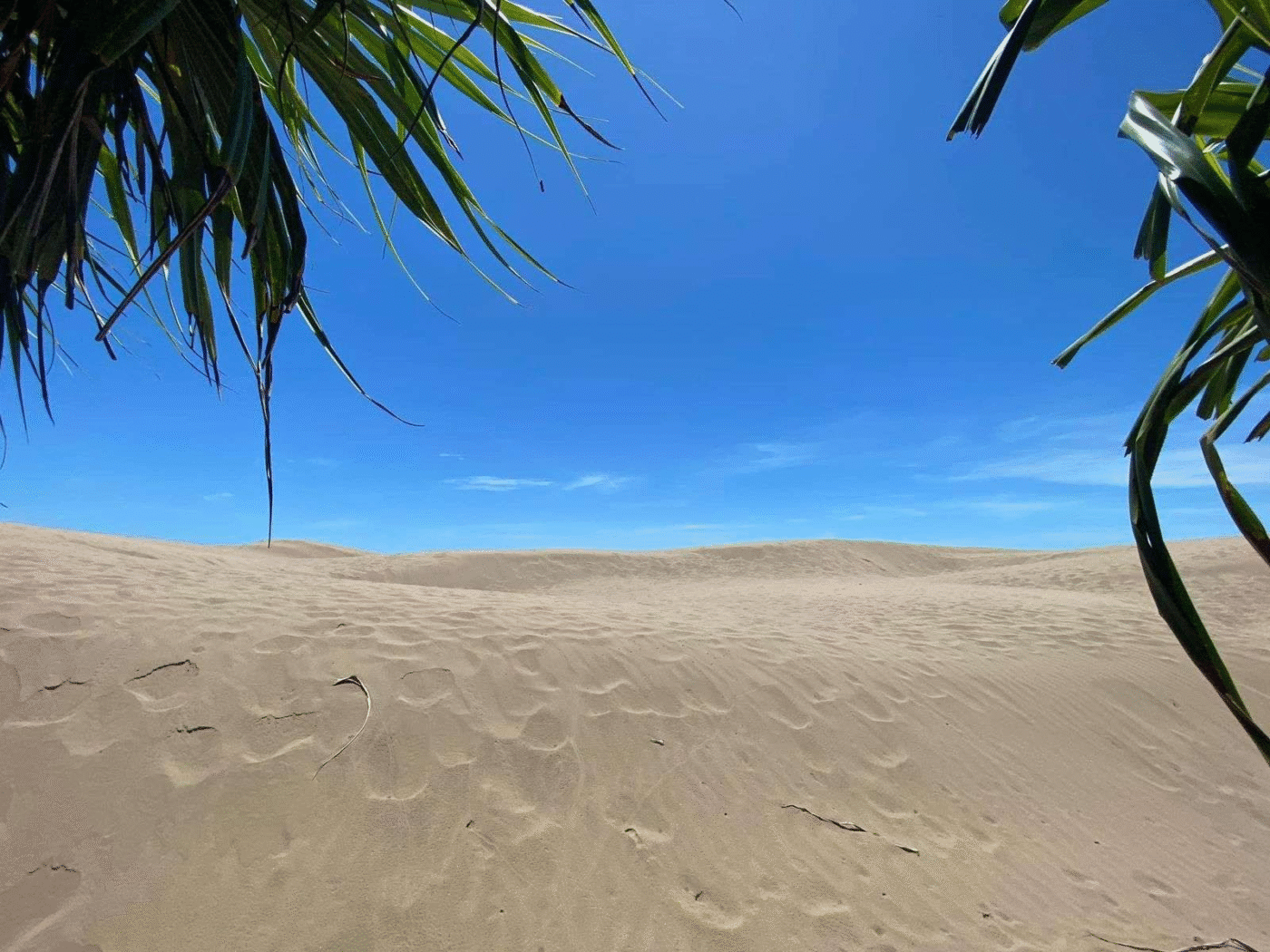 Timor Oetune Beach 3