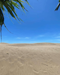 Timor Oetune Beach 3