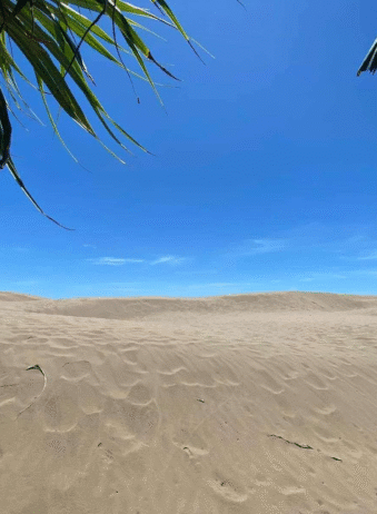 Timor Oetune Beach 3