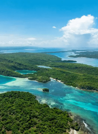 Timor Rote 1