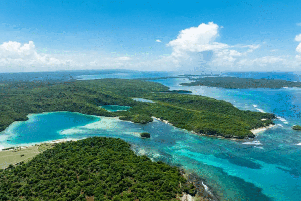 Timor Rote 1