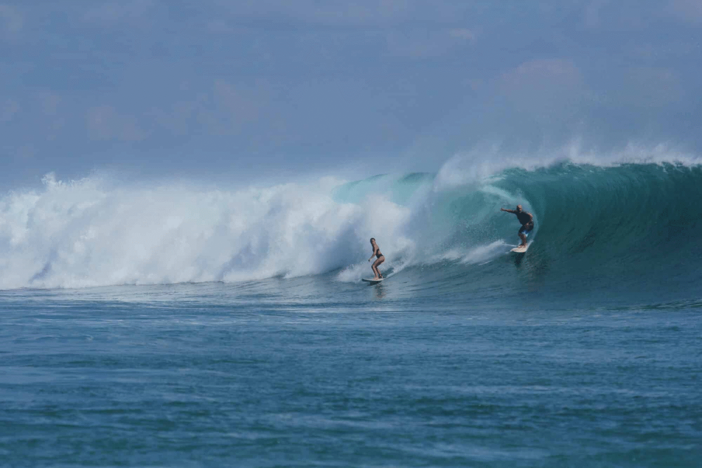 Timor Rote 2