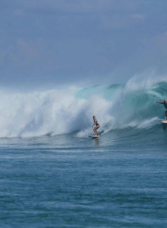 Timor Rote 2
