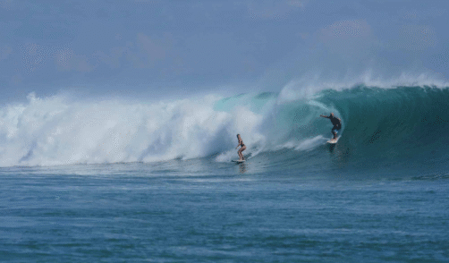 Timor Rote 2