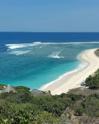 Timor Rote