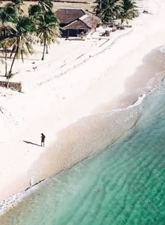Timor Rote 3