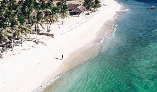 Timor Rote 3