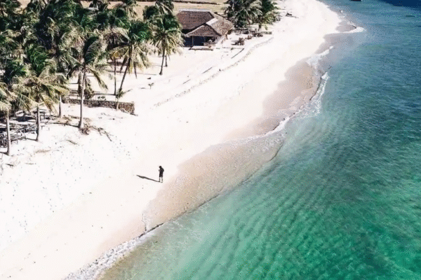 Timor Rote 3