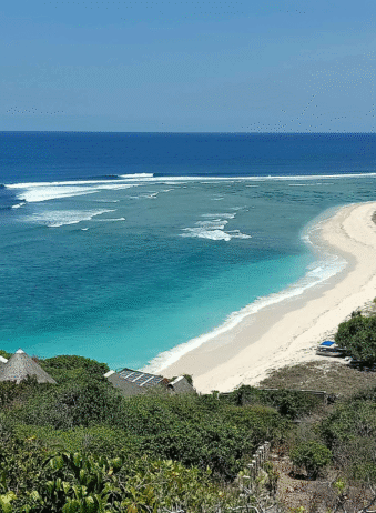 Timor Rote