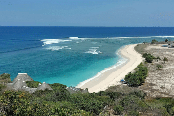 Timor Rote