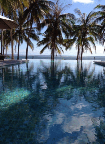 Timor Rote Seed Resort 3