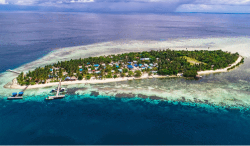 papua Arborek 1