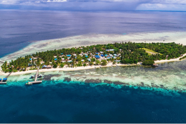 papua Arborek 1