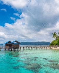 papua Arborek