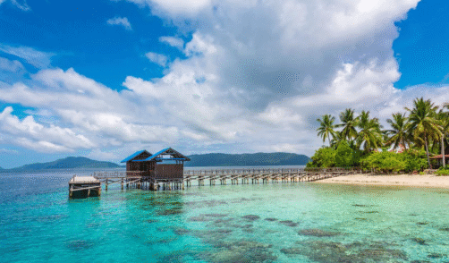papua Arborek