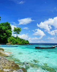 Maluku Ambon Pulau Tiga 2