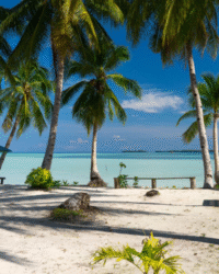 Maluku Kei Ohoidertawun Beach