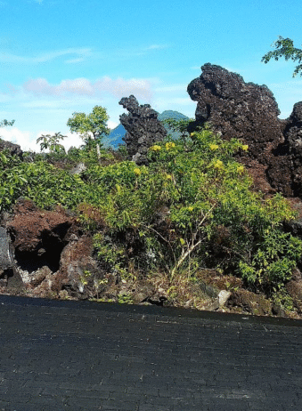 Maluku Ternate Batu Angus 2