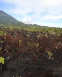 Maluku Ternate Batu Angus 3