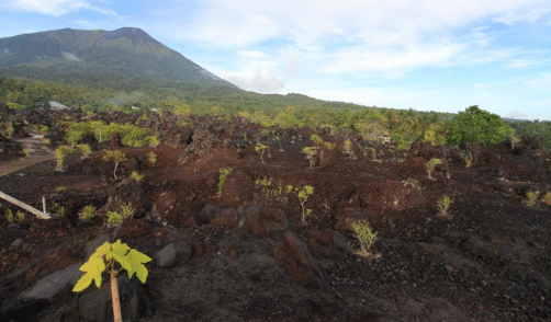 Maluku Ternate Batu Angus 3