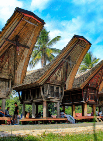 Sulawesi Toraja 21