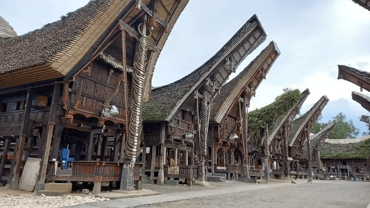 Sulawesi Toraja 23