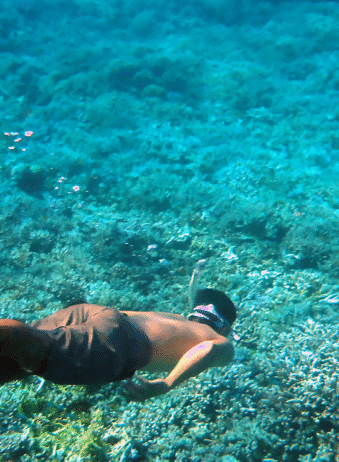 Sumbawa Calabrai