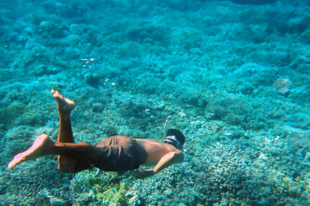 Sumbawa Calabrai