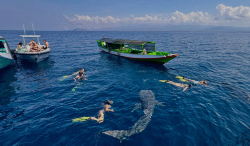 Sumbawa Saleh Bay